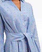Layla Shirtdress in Blue Stripe