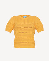 Short Sleeve Pointelle Sweater