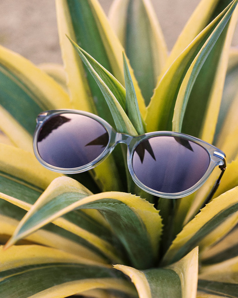 Nicolette Sunglasses